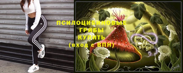 MDMA Россошь