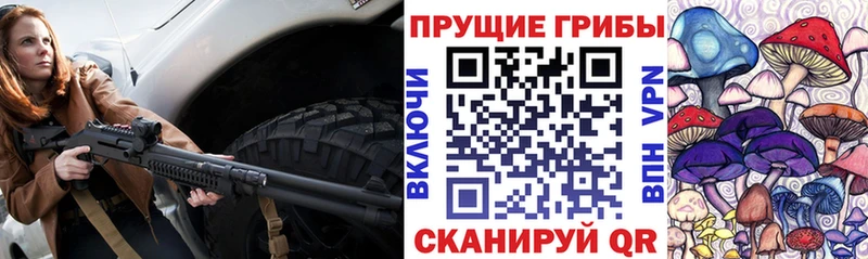 Галлюциногенные грибы Cubensis  Адыгейск 